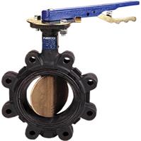 Butterfly Valve - Cast Iron, 200 PSI, EPDM Seat