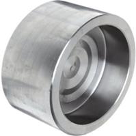316/316L Forged Stainless Steel Pipe Fitting, Cap, Socket Weld, Class 3000, 3/4